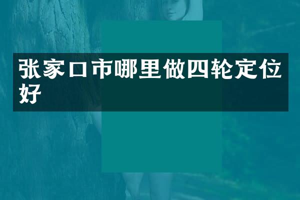 张家口市哪里做四轮定位好