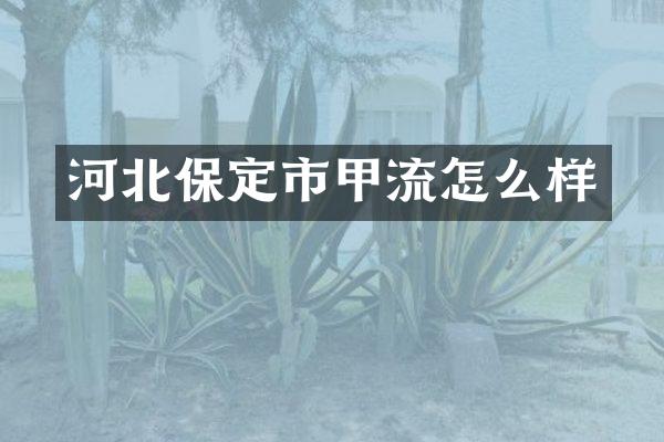 河北保定市甲流怎么样