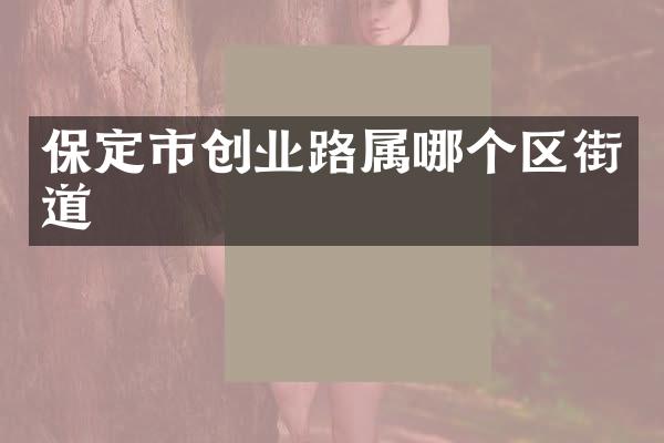 保定市创业路属哪个区街道