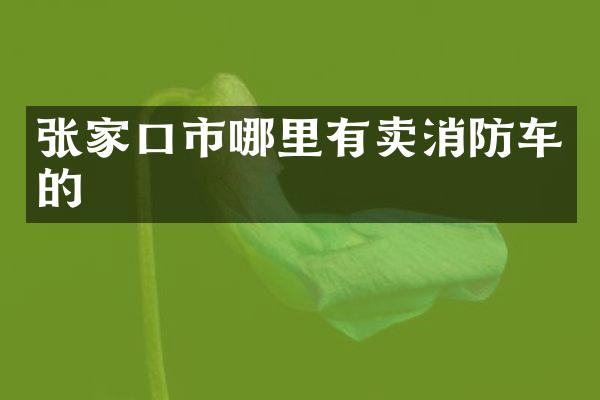 张家口市哪里有卖消防车的