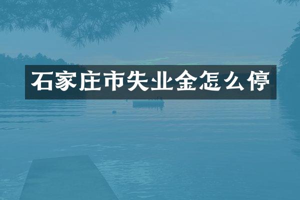 石家庄市失业金怎么停