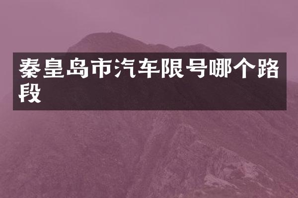 秦皇岛市汽车限号哪个路段