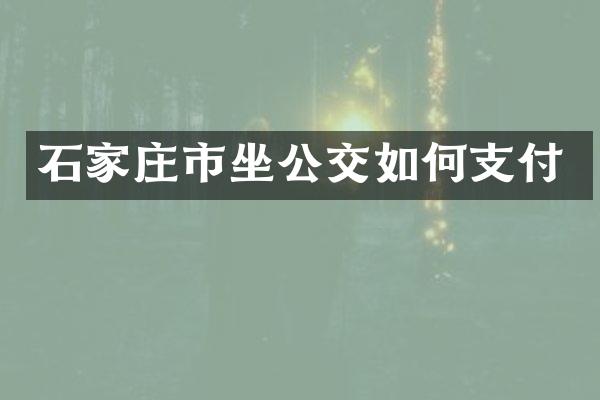 石家庄市坐公交如何支付
