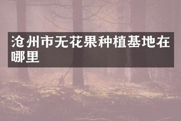 沧州市无花果种植基地在哪里