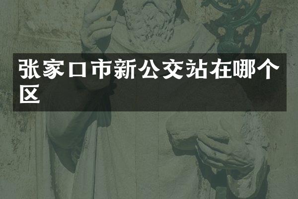 张家口市新公交站在哪个区