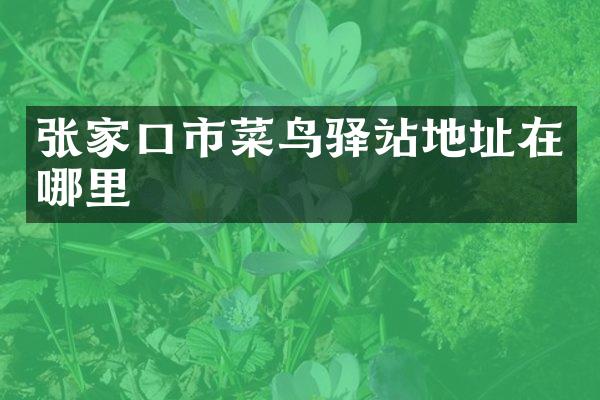 张家口市菜鸟驿站地址在哪里