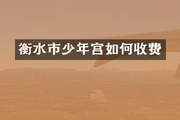 衡水市少年宫如何收费