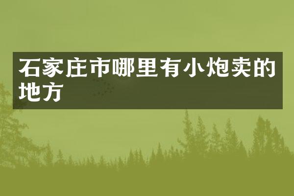 石家庄市哪里有小炮卖的地方