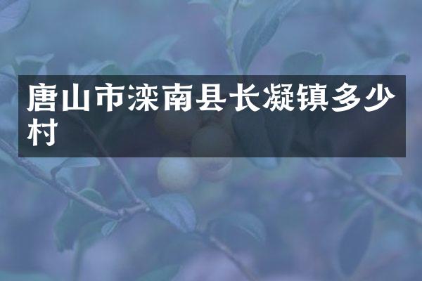 唐山市滦南县长凝镇多少村