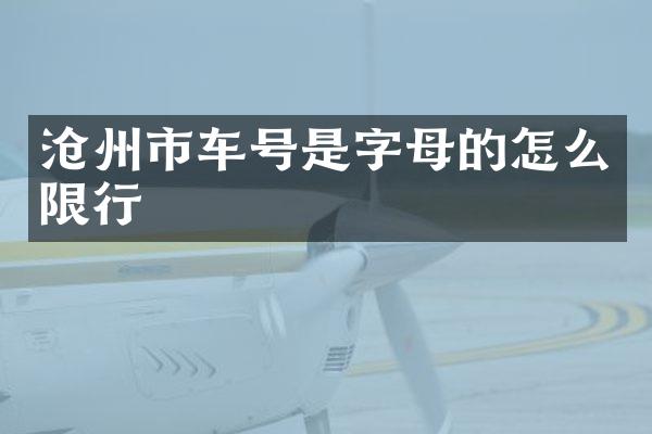 沧州市车号是字母的怎么限行