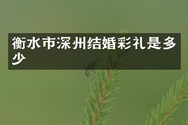 衡水市深州结婚彩礼是多少