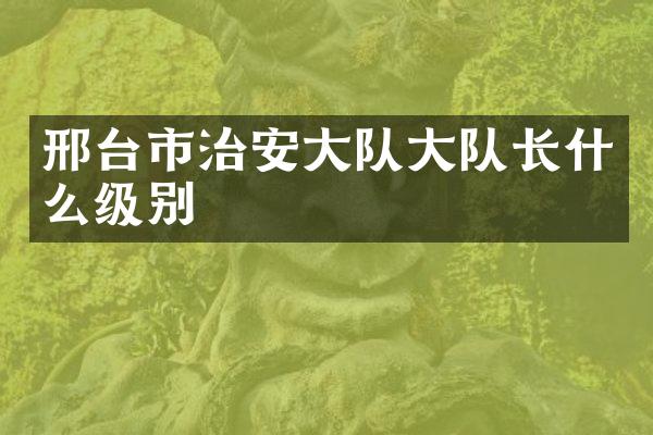 邢台市治安大队大队长什么级别