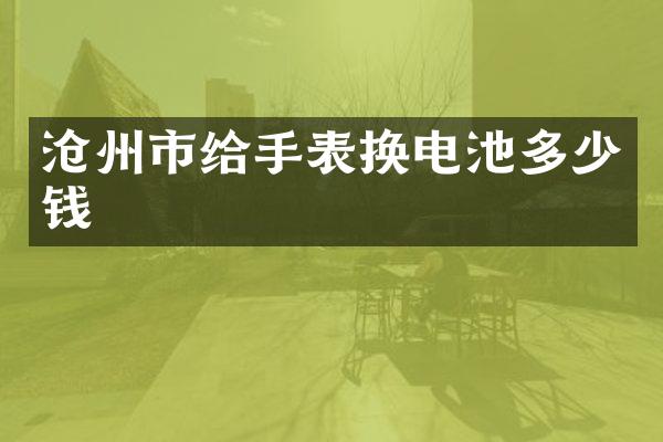 沧州市给手表换电池多少钱