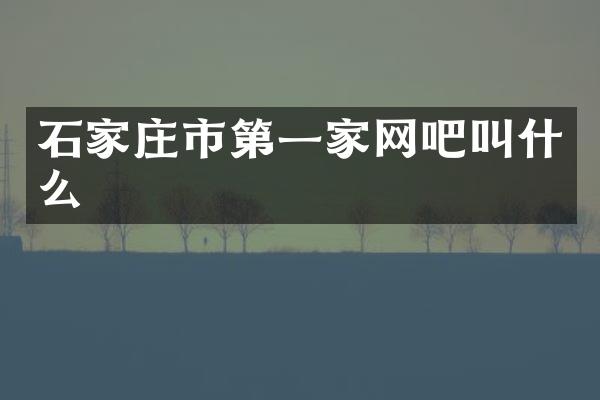 石家庄市第一家网吧叫什么