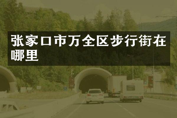 张家口市万全区步行街在哪里