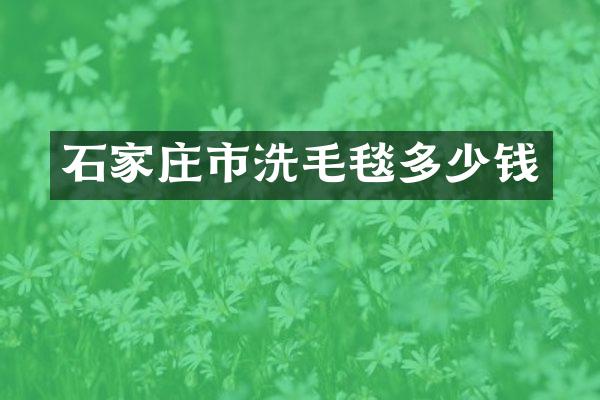 石家庄市洗毛毯多少钱