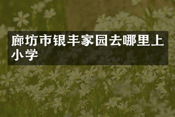 廊坊市银丰家园去哪里上小学
