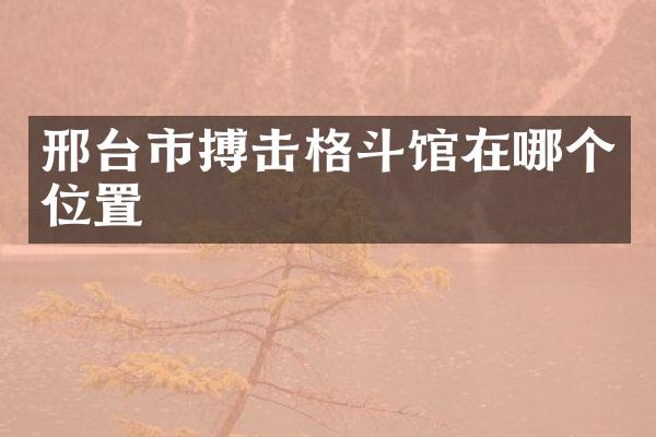 邢台市搏击格斗馆在哪个位置