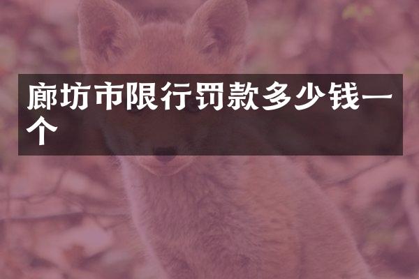 廊坊市限行罚款多少钱一个