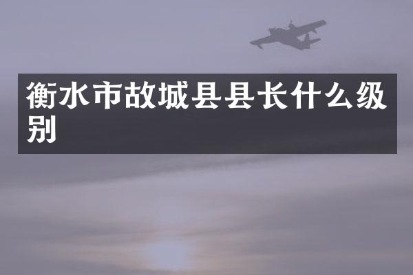 衡水市故城县县长什么级别