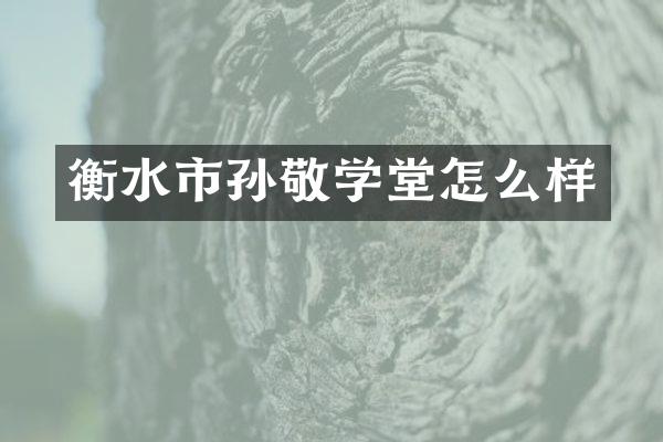 衡水市孙敬学堂怎么样