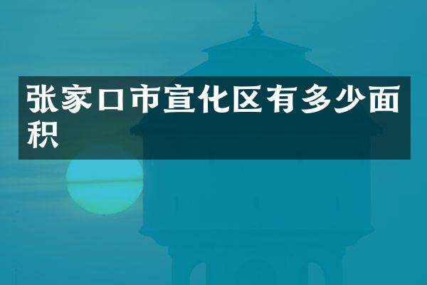 张家口市宣化区有多少面积