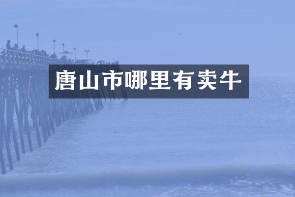 唐山市哪里有卖牛