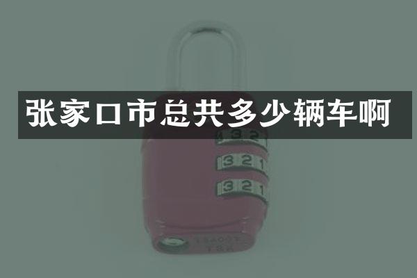 张家口市总共多少辆车啊