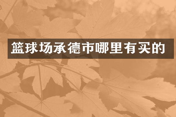篮球场承德市哪里有买的