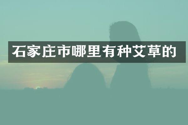 石家庄市哪里有种艾草的
