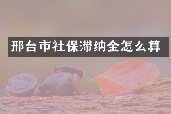 邢台市社保滞纳金怎么算