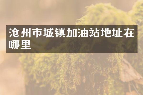 沧州市城镇加油站地址在哪里