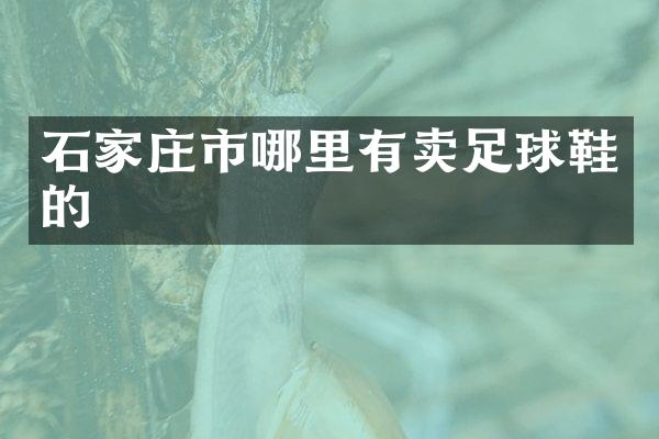 石家庄市哪里有卖足球鞋的