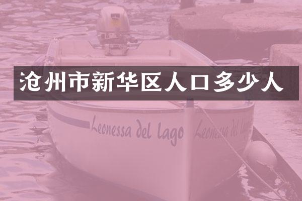 沧州市新华区人口多少人
