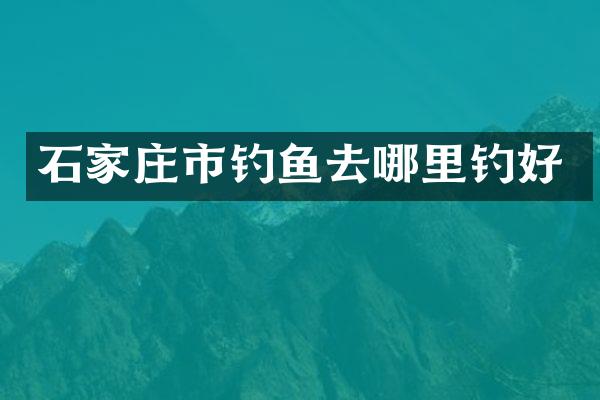 石家庄市钓鱼去哪里钓好