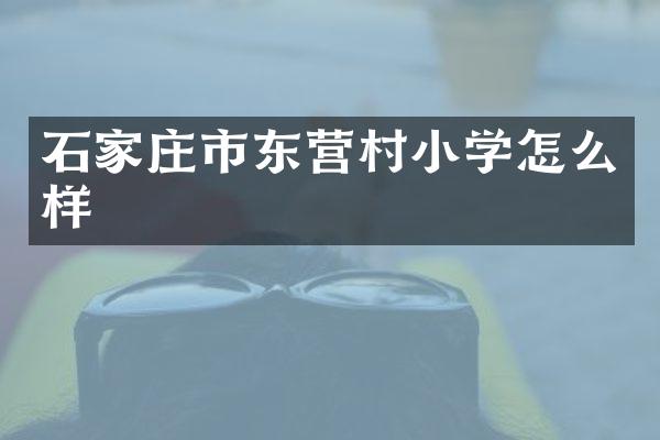 石家庄市东营村小学怎么样