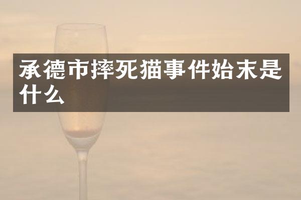 承德市摔死猫事件始末是什么