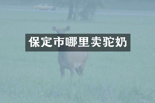 保定市哪里卖驼奶