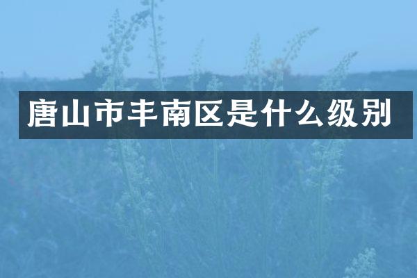 唐山市丰南区是什么级别