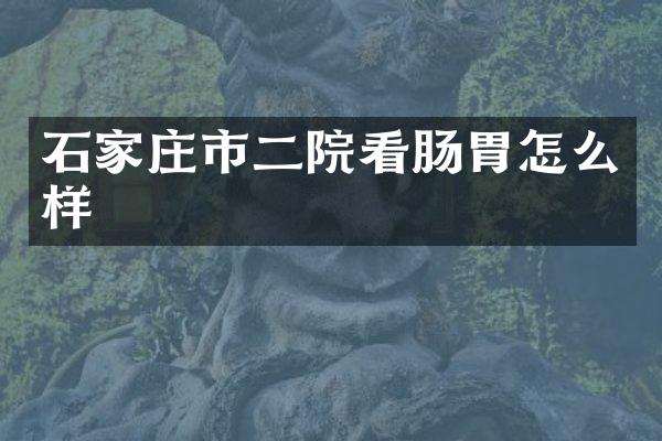 石家庄市二院看肠胃怎么样