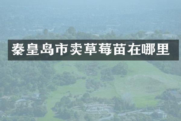 秦皇岛市卖草莓苗在哪里