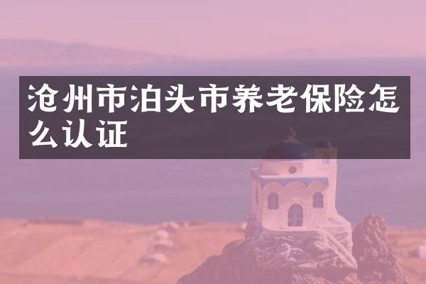 沧州市泊头市养老保险怎么认证