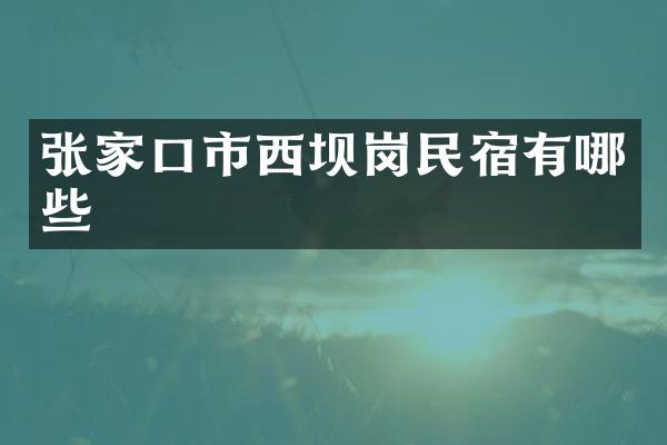 张家口市西坝岗民宿有哪些