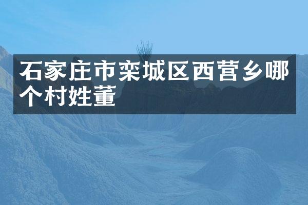 石家庄市栾城区西营乡哪个村姓董