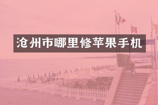 沧州市哪里修苹果手机