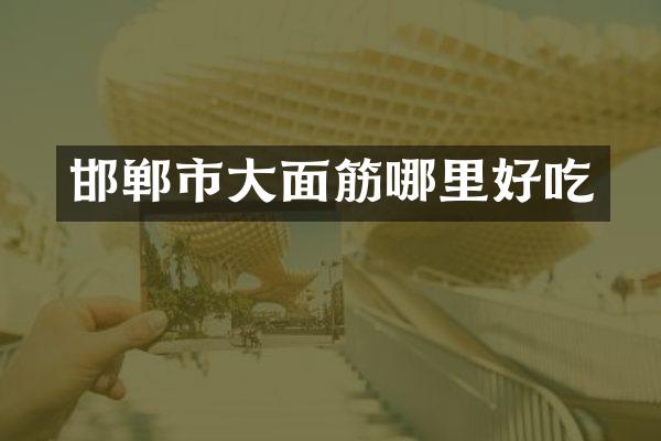邯郸市大面筋哪里好吃