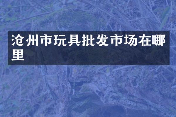 沧州市玩具批发市场在哪里