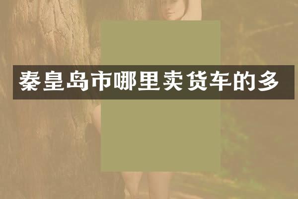 秦皇岛市哪里卖货车的多