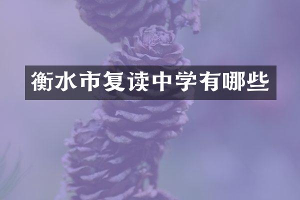 衡水市复读中学有哪些