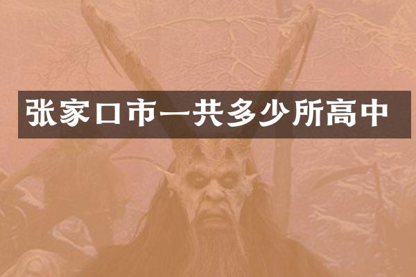 张家口市一共多少所高中